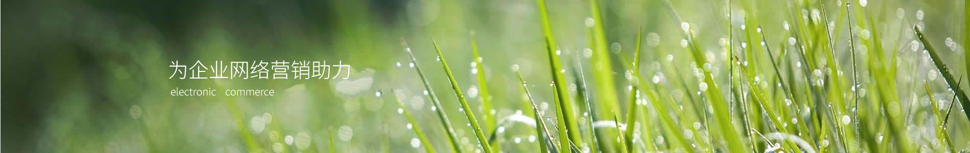ݸï޹˾